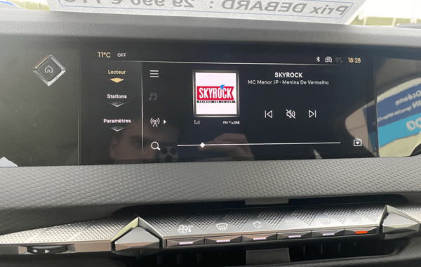 ds-ds-4-bluehdi-130ch-pallas-automatique - 139574686