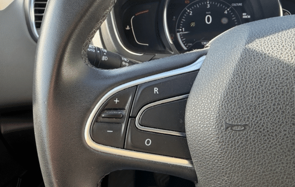 renault-scenic-iv-1-7-blue-dci-120ch-business-21 - 173864686