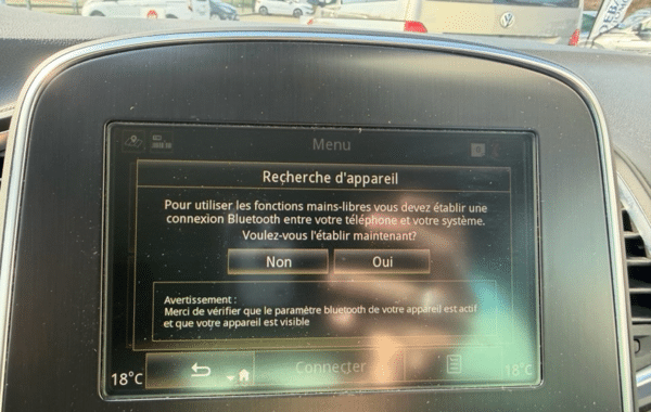 renault-scenic-iv-1-7-blue-dci-120ch-business-21 - 173864686