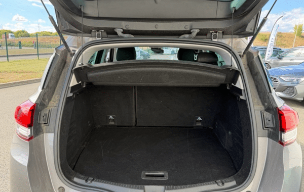 renault-scenic-iv-1-7-blue-dci-120ch-business-21 - 173864686