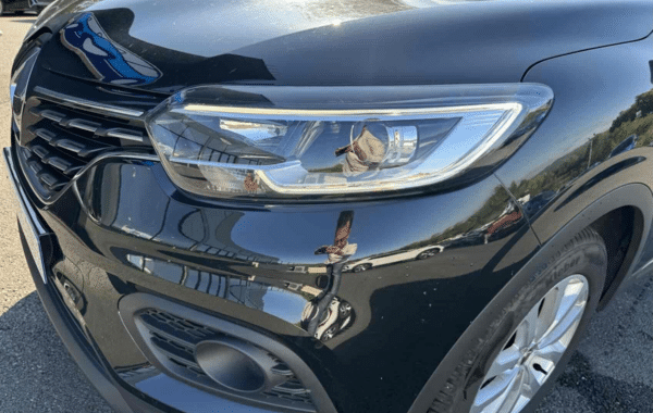 renault-kadjar-1-5-blue-dci-115ch-business-21 - 1005884713
