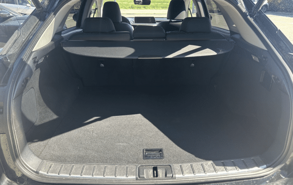 lexus-rx-450h-4wd-luxe - 1007574713