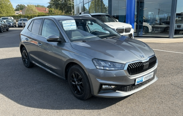 skoda-fabia-1-0-tsi-evo2-116ch-selection-dsg7 - 1017124713