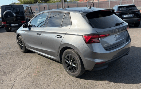 skoda-fabia-1-0-tsi-evo2-116ch-selection-dsg7 - 1017124713