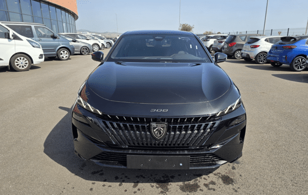 peugeot-308-1-5-bluehdi-130ch-s-s-gt-eat8 - 1018934713