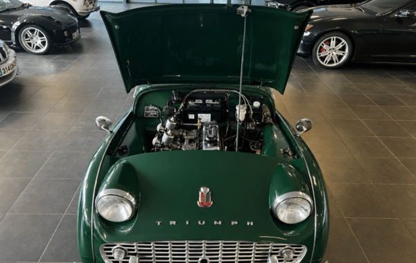 triumph-tr3a - 551414713