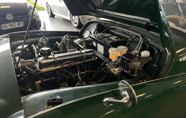 triumph-tr3a - 551414713