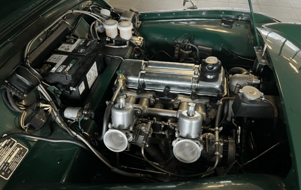 triumph-tr3a - 551414713