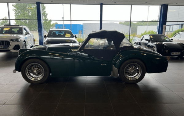 triumph-tr3a - 551414713