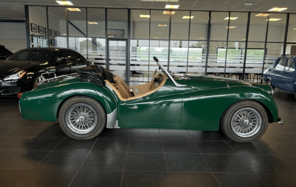 triumph-tr3a - 551414713