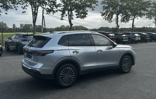 volkswagen-tiguan-1-5-etsi-131ch-life-dsg7 - 985914713
