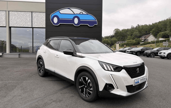 peugeot-2008-1-5-bluehdi-110ch-s-s-gt-2022-06-2023-11 - 992574713