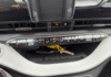 fiat-500-e-95ch-action - 172004686