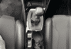 peugeot-208-1-2-puretech-100ch-s-s-gt-118g - 1016414713