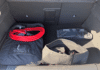 peugeot-308-e-308-156ch-batterie-54-kwh-gt - 1021284713