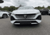 peugeot-308-1-5-bluehdi-130ch-s-s-allure-eat8 - 978344713