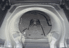 audi-q3-1-5-tfsi-150ch-hybride-s-line-s-tronic-7 - 979774713