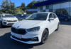 skoda-fabia-1-0-tsi-evo2-116ch-selection-dsg7 - 990504713