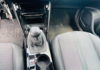 peugeot-2008-1-2-puretech-130ch-s-s-allure - 57918575