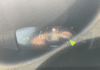 peugeot-308-sw-1-5-bluehdi-130ch-s-s-gt-eat8 - 72198575