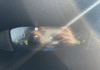 peugeot-308-sw-1-2-hybrid-145ch-gt-e-dcs6 - 75178575