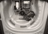 cupra-leon-2-0-tdi-150ch-v-dsg7 - 75188575