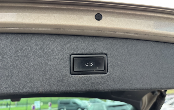 volkswagen-tiguan-2-0-tdi-150ch-bluemotion-technology-carat-edition-4motion-dsg7 - 153824686