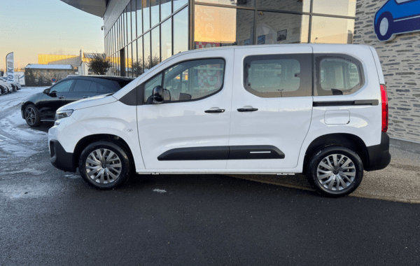 citroen-berlingo-taille-m-1-5-bluehdi-130ch-s-s-plus-5-places - 157854686