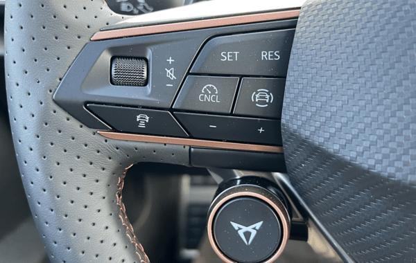 cupra-formentor-2-0-tdi-150ch-v-dsg7 - 163884686