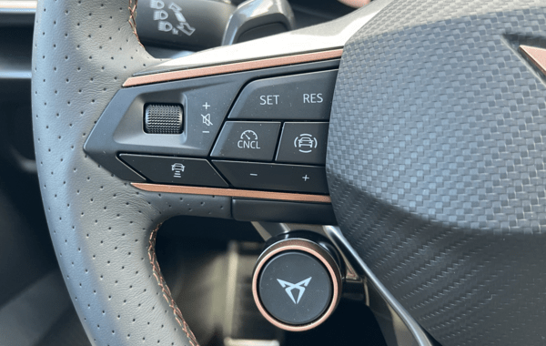 cupra-formentor-2-0-tdi-150ch-v-dsg7 - 163894686