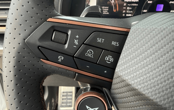 cupra-formentor-2-0-tdi-150ch-v-dsg7 - 163924686