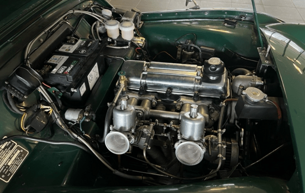 triumph-tr3a - 551414713
