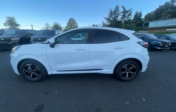 ford-puma-1-0-ecoboost-hybrid-125ch-st-line-s-s-powershift - 870974713