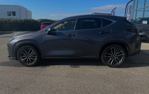 lexus-nx-350h-4wd-executive - 903014713