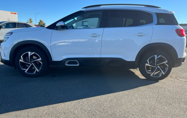 citroen-c5-aircross-bluehdi-130ch-s-s-shine-eat8 - 911934713