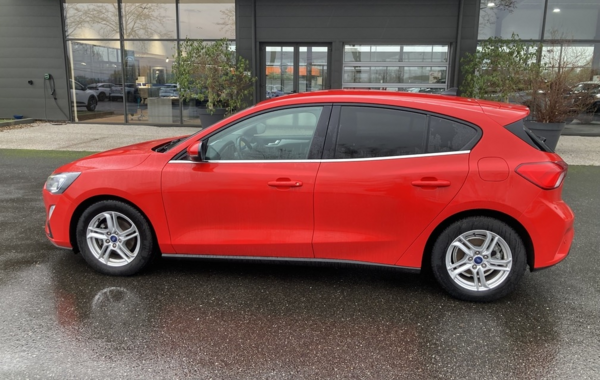 ford-focus-1-0-ecoboost-125ch-mhev-trend-business - 919774713