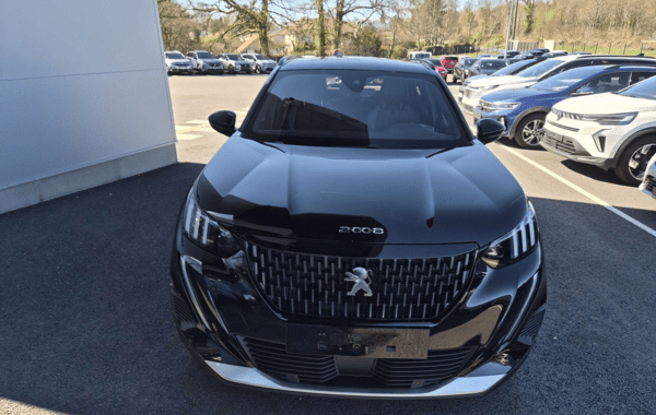 peugeot-2008-1-5-bluehdi-130ch-s-s-gt-eat8 - 962484713