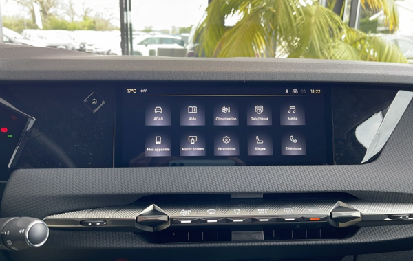 ds-ds-4-bluehdi-130ch-pallas-automatique - 60808575
