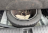hyundai-tucson-1-7-crdi-141ch-executive-2017-2wd-dct-7 - 890554713