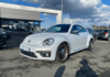volkswagen-coccinelle-1-2-tsi-105ch-bluemotion-technology-origin-dsg7 - 930954713