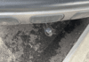 citroen-c3-aircross-puretech-110ch-s-s-shine - 965434713