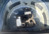volkswagen-polo-1-0-tsi-95ch-life-plus-dsg7 - 968994713